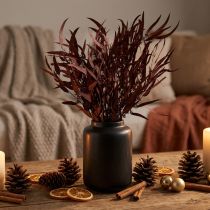 Product Eucalyptus Preserved Eucalyptus Branches Red, Brown 56cm 135g