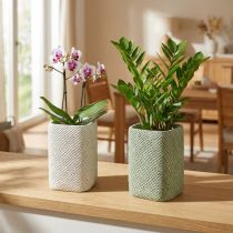 Product Planter ceramic white green relief mesh 14x14cm H21.5cm 2pcs