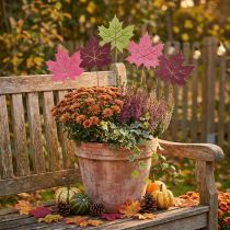Product Autumn garden stake maple leaf wood W9.5cm L31cm 12pcs