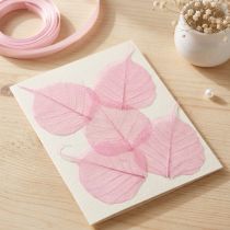 Product Skeleton leaves, pink decorative willow leaves 5-9cm, 200 pieces - Ideal for greeting cards & DIY