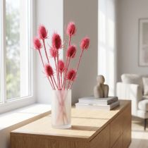 Product Wild teasel dried decoration, pink thistles, 53cm, 10 heads
