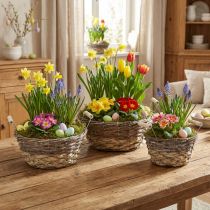 Product Shabby Chic White Plant Basket Set, Easter Decoration Natural Basket with Handles Ø28/24/19cm, Decorative Baskets Washed