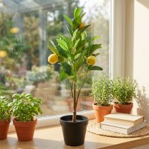 Product Artificial lemon tree in a pot, Mediterranean decoration, artificial lemon plant, H58cm