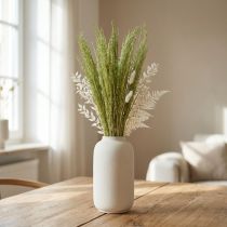 Product Bent Grass Agrostis Capillaris Dry Grasses Green 65cm 80g