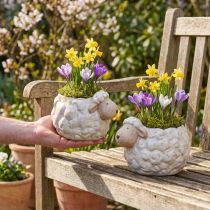 Product Sheep-shaped ceramic planter, decorative plant bowl for garden and home, 2 pieces