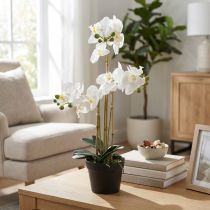 Product Artificial orchid in a pot for a harmonious ambience, white, 60cm