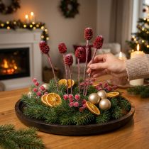 Product Decorative branches Sabulosum red frosted 4-6 25 pcs