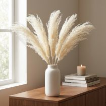 Product Asparagus Dried Grasses Ornamental Asparagus Cream 90cm 5 pcs