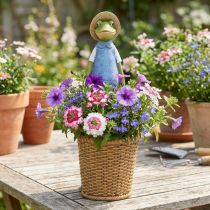 Product Frog deco planter polyresin table decoration summer H31.5cm