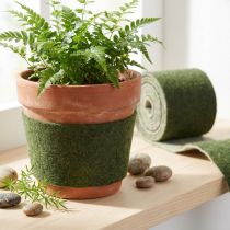 Product Felt Ribbon Franzi Pot Ribbon Wool Felt Dark Green 15cm 4m