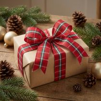 Product Rustic check ribbon in red for festive decorations Width 25mm Long 15m