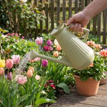 Product 9L watering can in olive green with removable rose, practical for garden and flower care, robust, 42cm