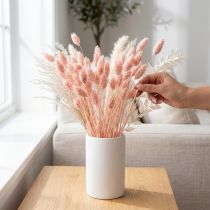 Product Phalaris Light pink Canary grass Dried decor 65cm 60g