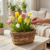 Product Elegant oval basket, 27cm, light brown, for decoration &amp; artificial plants