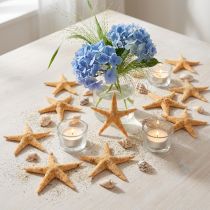 Product Starfish scatter decoration home deco mini starfish nature 2-4cm 50p