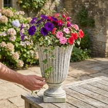 Product Planter Flower pot Antique Cast stone Grey Ø20cm H30.5cm