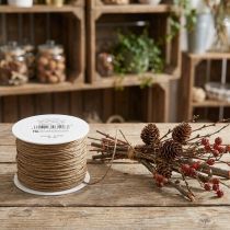 Product Paper wire craft wire wire wrapped brown Ø2mm 100m