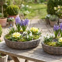 Product Wooden rattan plant rings, natural grey, Ø40/45cm, set of 2.