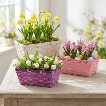 Product Chip basket square purple/white/pink 8 pieces