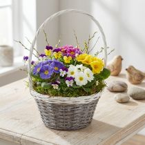 Product Willow basket with handle, grey and white, Ø29cm, gift, flower decoration