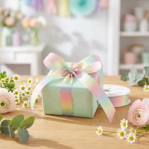 Product Rainbow ribbon pastel decorative ribbon gift ribbon 15mm 18m