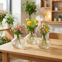Product Small glass vase modern mini vase glass clear 11×6×10cm 3pcs