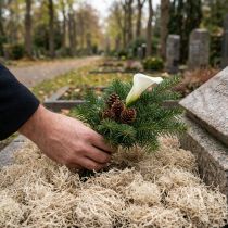 Product Decorative moss dried forest moss bleached natural decoration 300g