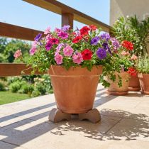 Product Flower pot feet, practical riser, pot accessory for balcony and terrace, 7cm, 3 pieces