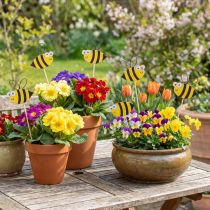 Product Garden stakes Wooden bee decoration 7cm 12pcs