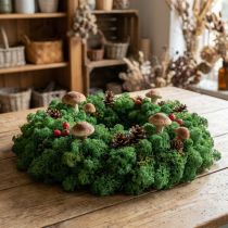 Product Decorative Moss Green Icelandic Moss Preserved Moss for Crafts 400g