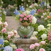 Product Frog King Deco Vase Garden Decoration Frog Vase 21×17.5×23cm