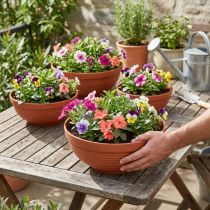 Product R-bowl plastic terracotta Ø 13cm - 19cm, 10pcs