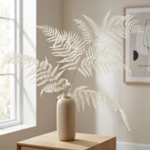 Product Dried fern decoration bleached Bracken fern H75cm 10 pcs