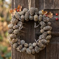 Product Alder cone wreath for hanging, white washed Ø18cm