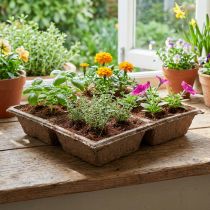 Product OASIS® TerraBrick™ Sustainable Coconut Fibre Planting Clay 8 pcs