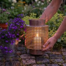 Product Decorative lantern wind light metal with handle rose Ø18cm H29cm
