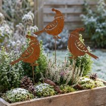 Product Garden Stake Bird with Hat patina Decoration 12cm 6 Pcs