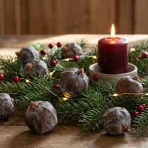 Product Juniper cones Syrian juniper natural Ø1.5–2.5cm 1kg