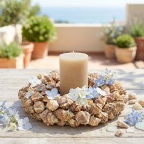 Product Sea shell wreath Wall decor Natural wreath for hanging Ø35cm