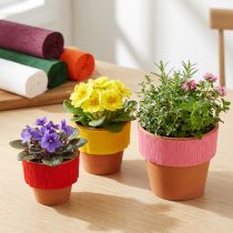 Product Pot cuff crepe as a set 95/115/135mm 150pcs