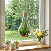 Product Cacti in a glass to hang 21cm