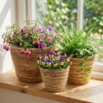 Product Rattan plant basket set, natural/brown, 3-piece, Ø26/22/16cm – Decorative &amp; Versatile