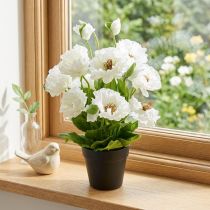 Product Poppy in a pot white silk flowers floral decoration