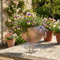Product Flower Pot Chicken Metal Bird Metallic Rosé 51×16×37cm