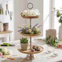 Product Cake stand mango wood natural table decoration Ø19/23/28cm H55cm