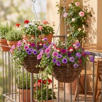 Product Hanging Basket Brown Hanging Basket Plant Basket Ø31cm 2pcs