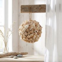 Product Shell decoration ball sea snails Maritime decoration for hanging Ø18cm