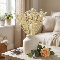 Product Artificial Curry Plant White Beige L28cm 12 Pcs 1 Bunch