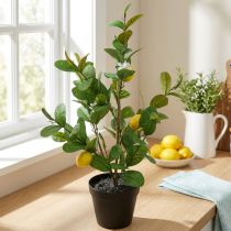 Product Artificial lemon tree in a pot, 65cm, decorative plant, artificial plant