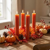 Product Taper candles dyed brown candles 34×240mm 4pcs